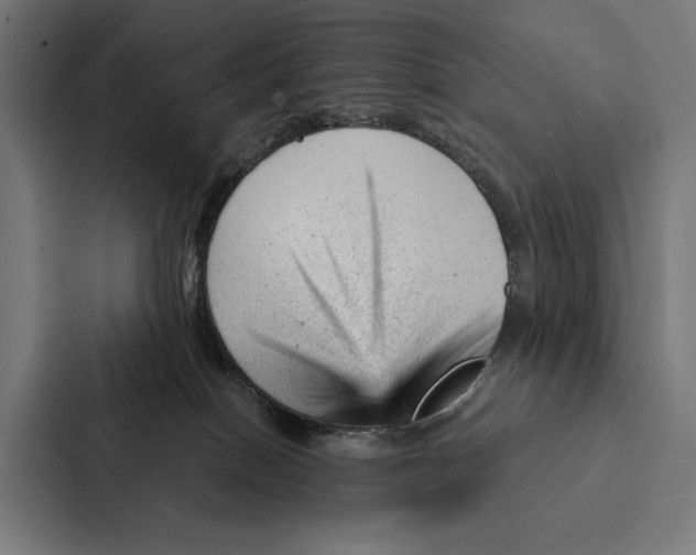 X0000087310086200705112125