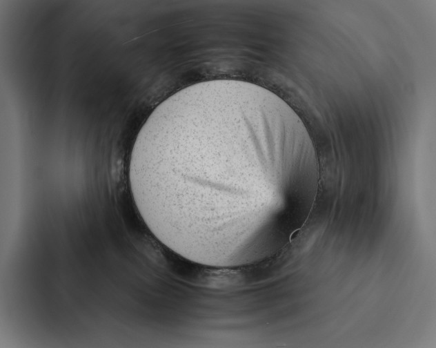 X0000087310087200705112125