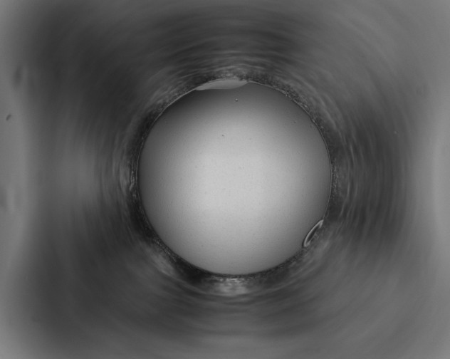 X0000087310091200705112125