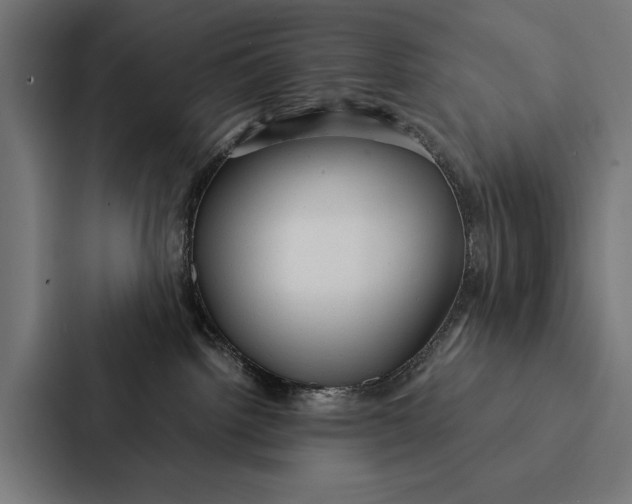 X0000087310092200705112125