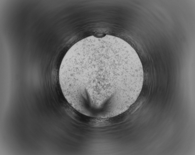 X0000087310093200705112125