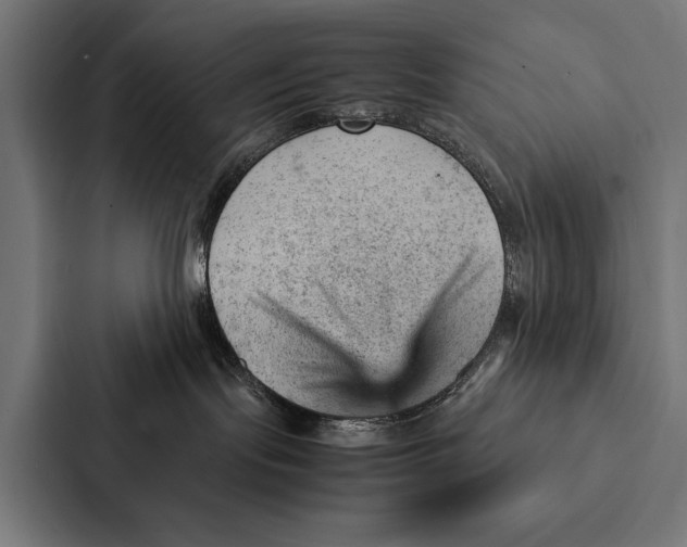 X0000087310095200705112125