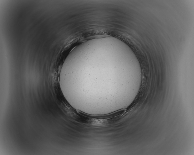 X0000087310096200705112125