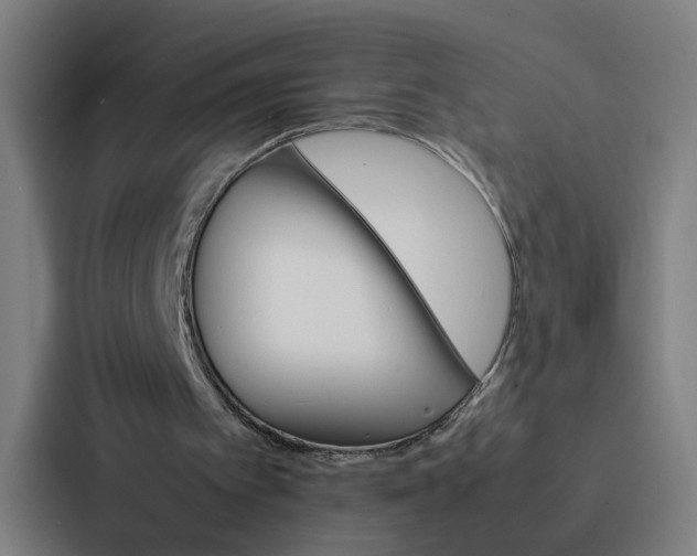 X0000087310097200705112125