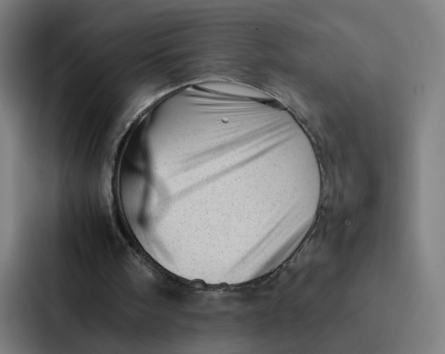 X0000087310098200705112125