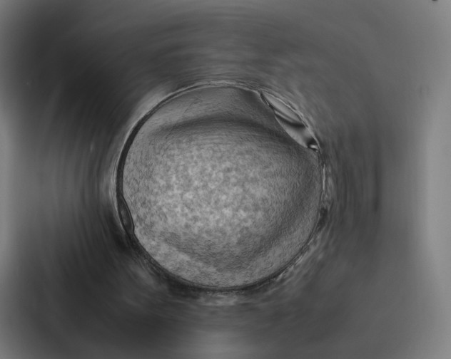 X0000087310099200705112125