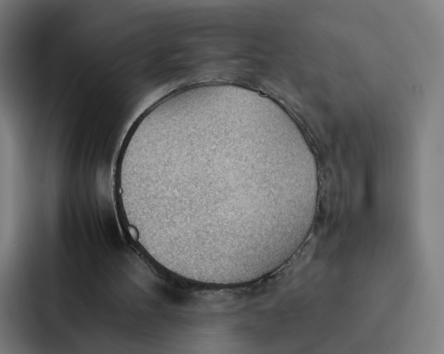 X0000087310100200705112125