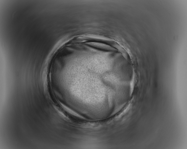 X0000087310101200705112125