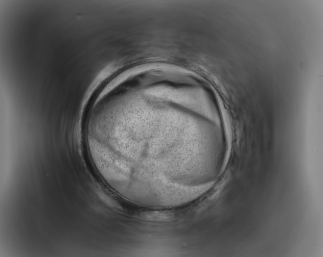 X0000087310102200705112125