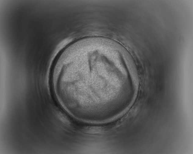 X0000087310104200705112125