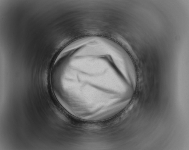 X0000087310106200705112125