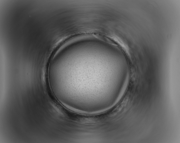 X0000087310107200705112125