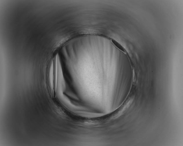 X0000087310109200705112125