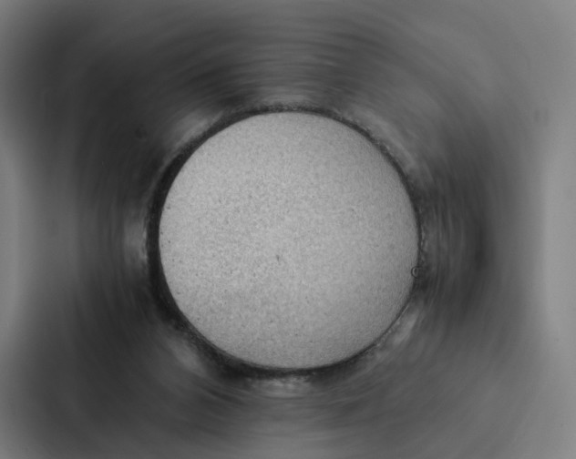 X0000087310112200705112125