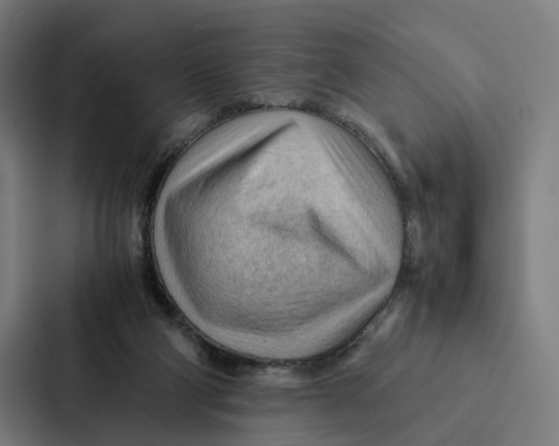 X0000087310114200705112125