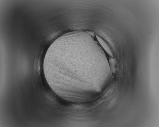 X0000087310115200705112125