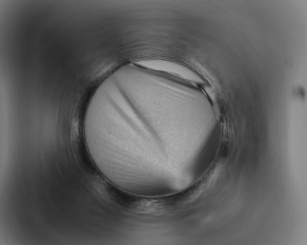 X0000087310117200705112124