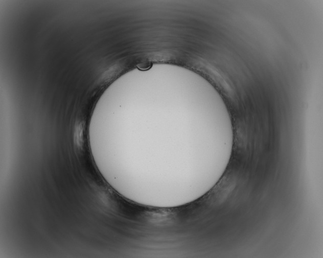 X0000087310118200705112124