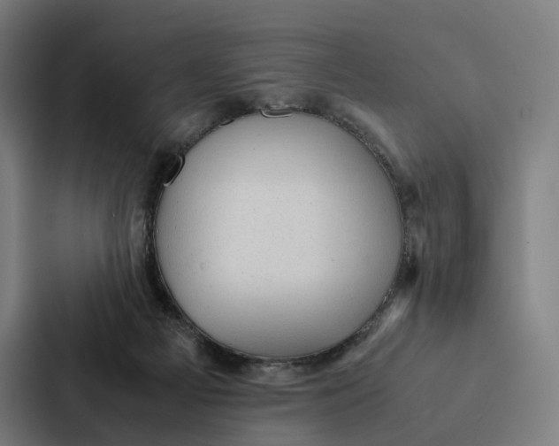 X0000087310121200705112124