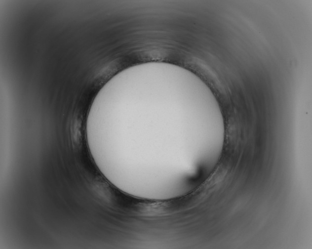 X0000087310122200705112124