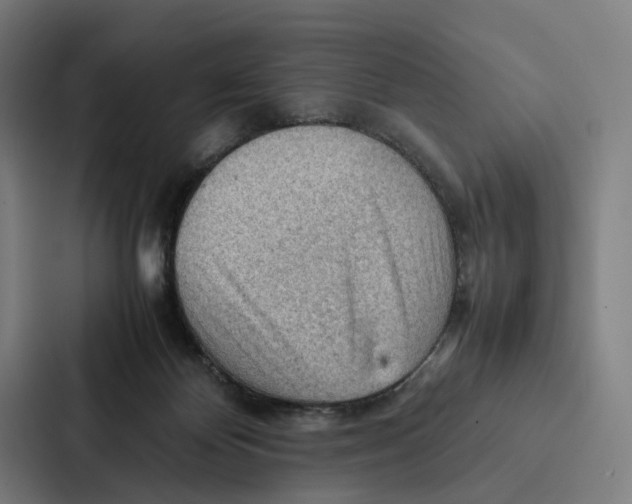 X0000087310124200705112124