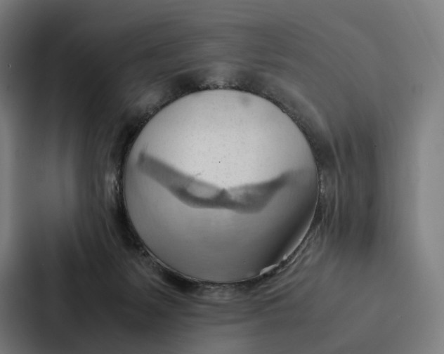 X0000087310127200705112124