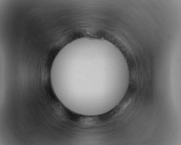 X0000087310129200705112124