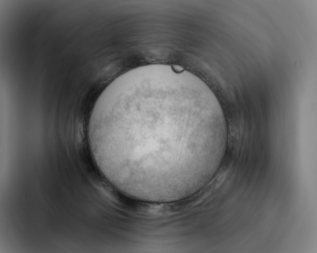 X0000087310130200705112124