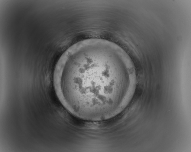 X0000087310131200705112124