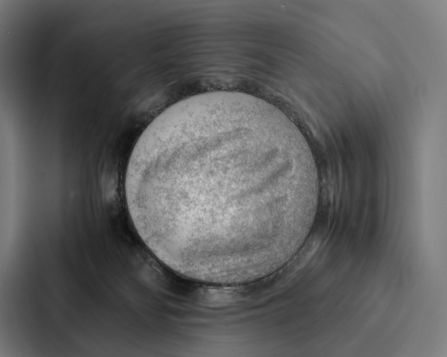 X0000087310134200705112124