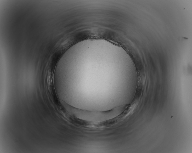 X0000087310137200705112124