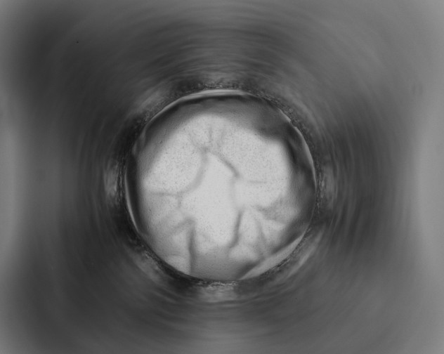 X0000087310138200705112124