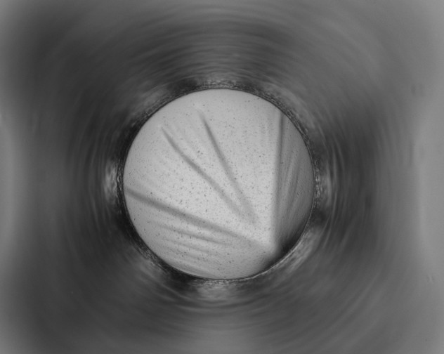 X0000087310142200705112124