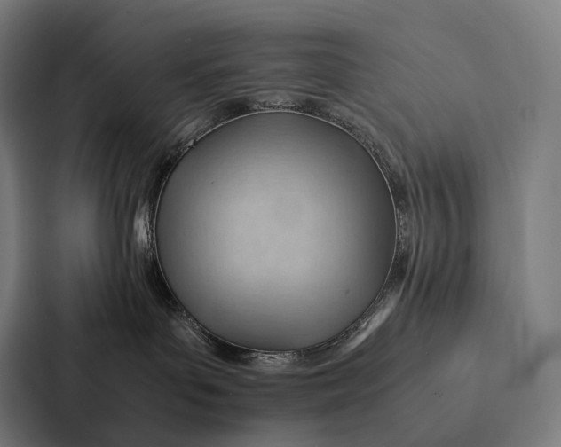 X0000087310143200705112124