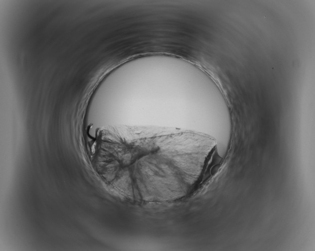 X0000087310145200705112124