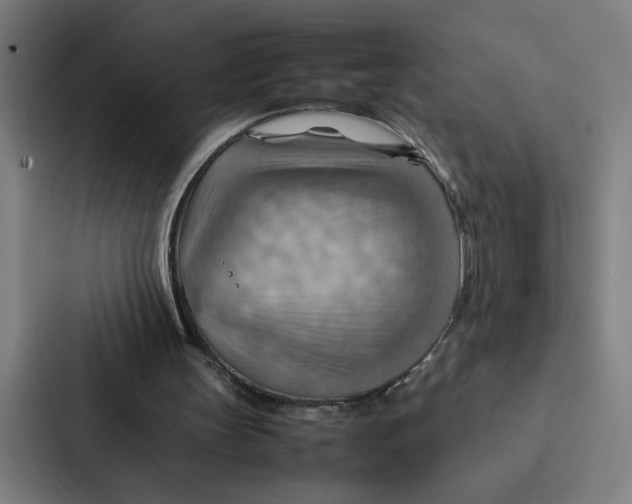 X0000087310147200705112124