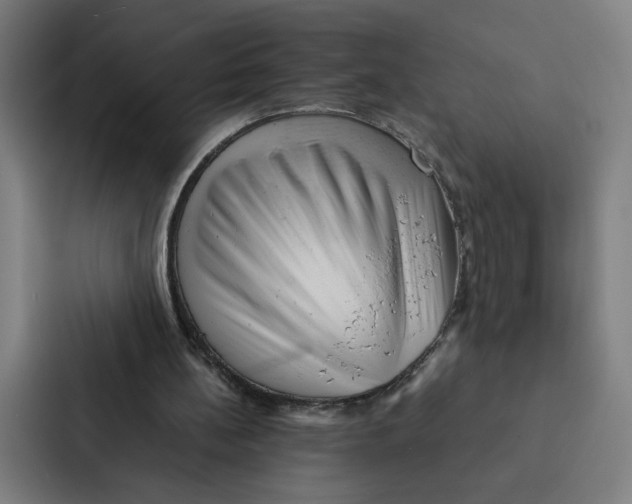 X0000087310148200705112124