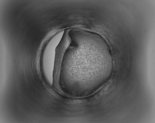 X0000087310149200705112124