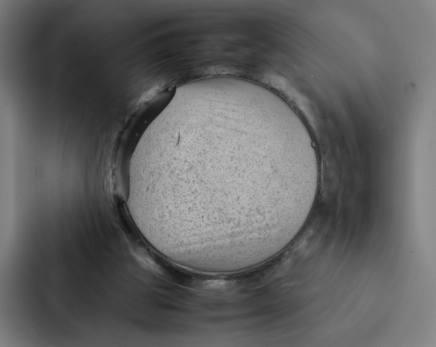 X0000087310153200705112124