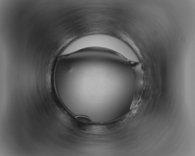 X0000087310154200705112124