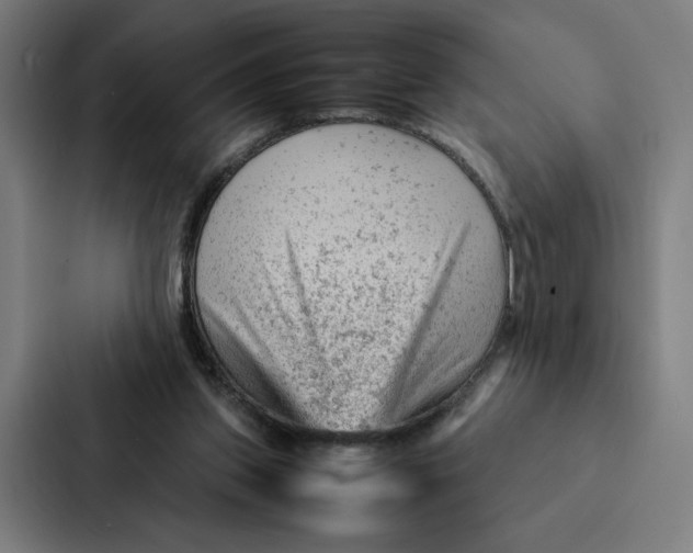 X0000087310157200705112124