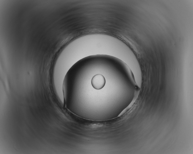 X0000087310158200705112124