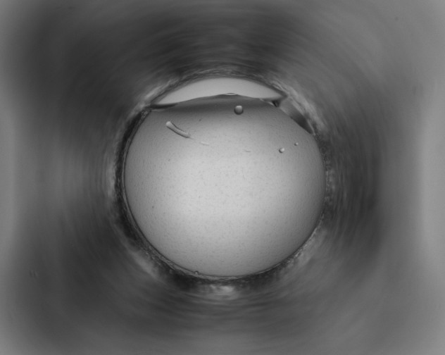 X0000087310159200705112124