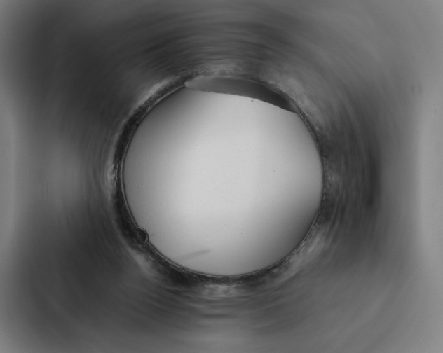 X0000087310160200705112124