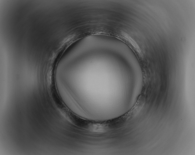 X0000087310163200705112124