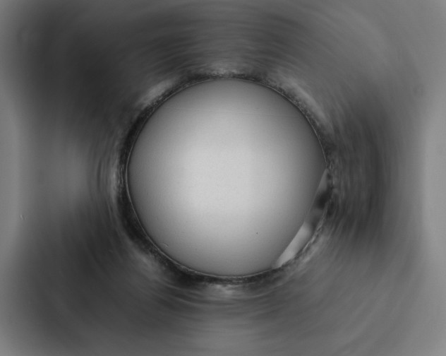 X0000087310164200705112124