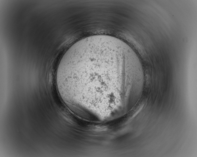 X0000087310165200705112124