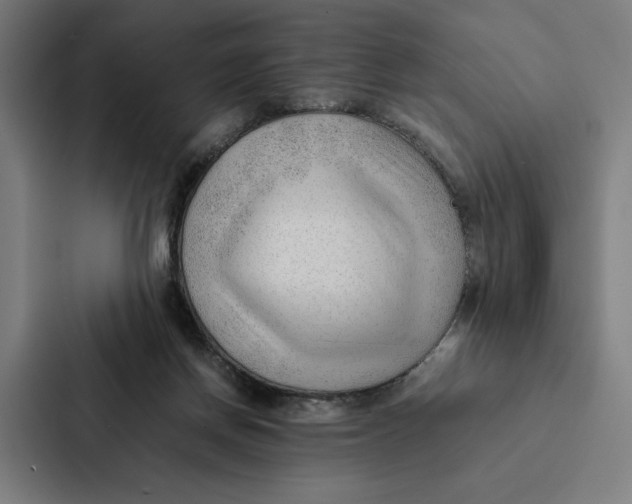 X0000087310166200705112124