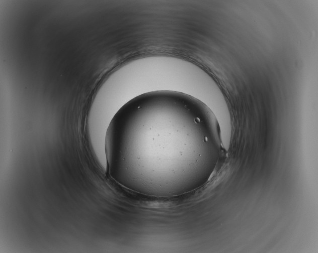 X0000087310168200705112124