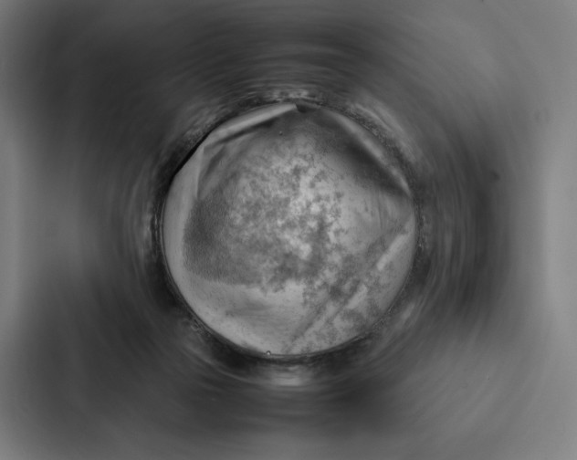 X0000087310169200705112124